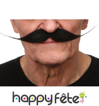 Moustaches salvator dali