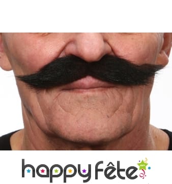 Moustaches turques brunes