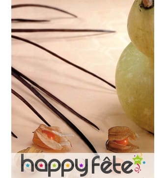 Nappe couleur pastel vanille (1.20m x 6m)