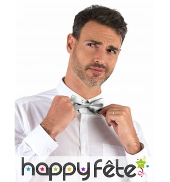 Noeud papillon coloris argenté