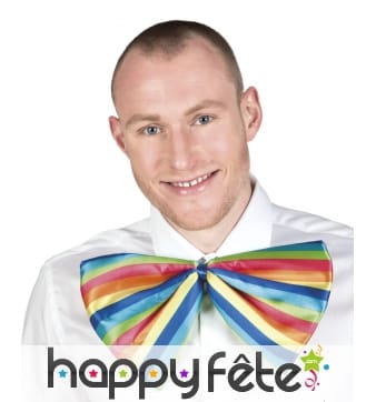 Noeud papillon géant et multicolore