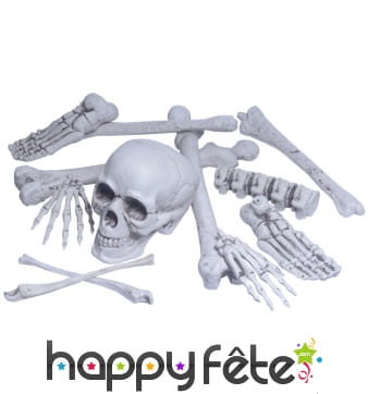 Os et crâne réalistes, décoratifs