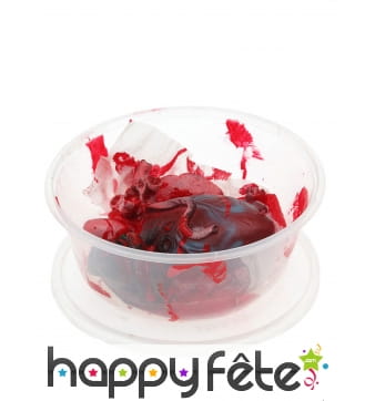 Organes humains ensanglantés dans une boîte