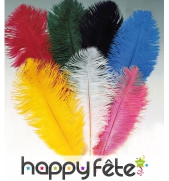 Plume autruche verte