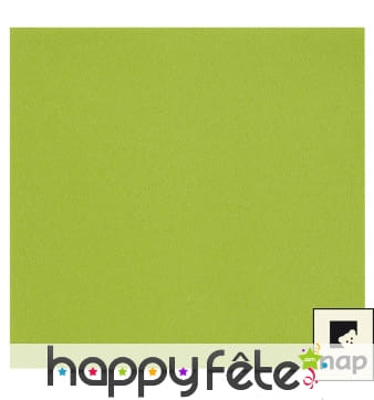 Paquet de 12 serviettes celisoft anis