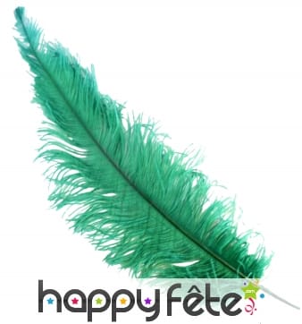 Plume d'autruche verte