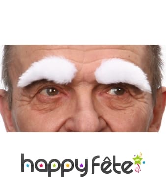 Paire de sourcils blancs