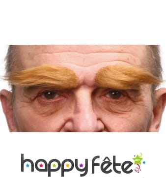 Paire de sourcils blonds