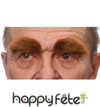 Paire de sourcils chatains