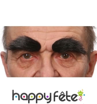 Paire de sourcils noirs