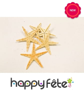 Petites étoiles de mer décoratives de 2cm