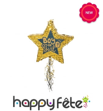 Pinata gender reveal party