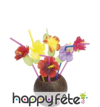 Paille hawaienne fleurs