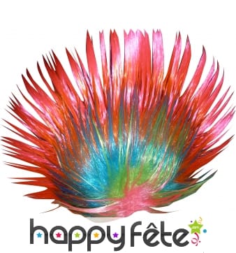 Perruque punk multicolore