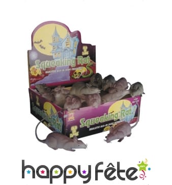 Rats phosphorescents