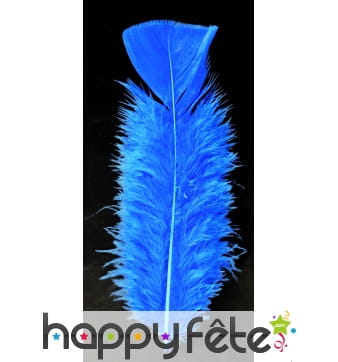 Sachet 100 plumes lagon pied plat 15 cm