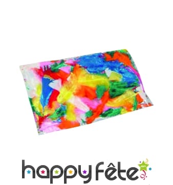 Sachet 100 plumes multicolores pied plat 15 cm