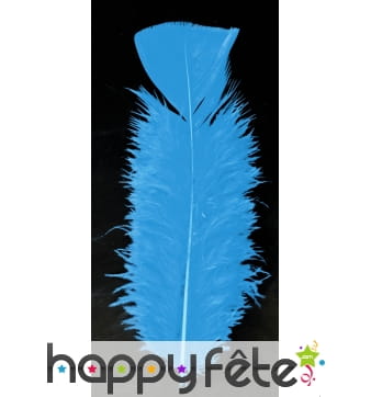 Sachet 100 plumes turquoises pied plat 15cm