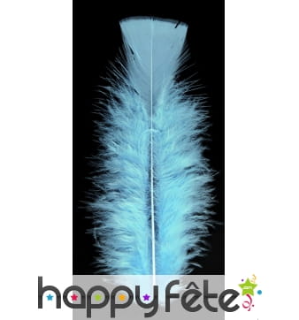 Sachet 150 plumes ciel pied plat 15 cm