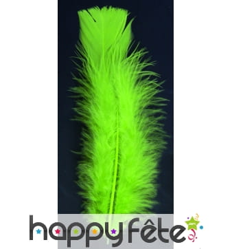 Sachet 150 plumes vert clair pied plat 15cm