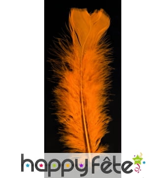 Sachet 50 plumes orange pied plat 10 cm