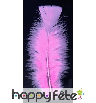 Sachet 50 plumes rose pale pied plat 10 cm