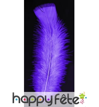 Sachet 50 plumes violet pied plat 10 cm