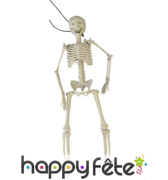 Squelette articulé de 40 cm