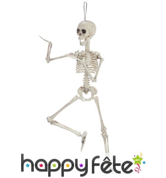 Squelette articulé de 48cm en plastique