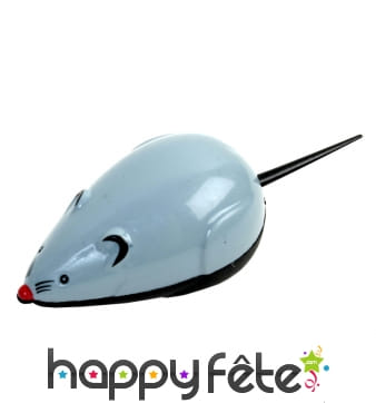 Souris à rétro friction de 9cm