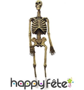 Squelette à suspendre