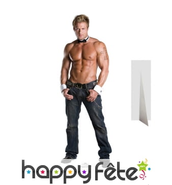 Silhouette Billy le chippendale taille réelle