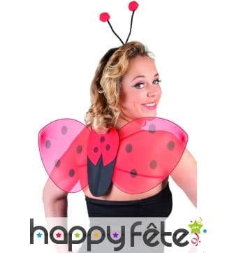 Set coccinelle avec ailes et serre tete