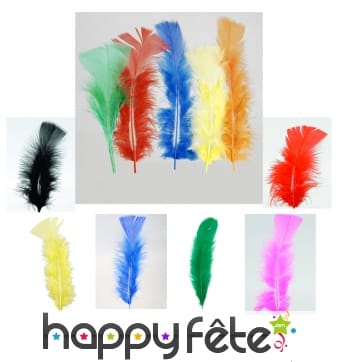 Sachet de 100 plumettes de 10 à 17cm