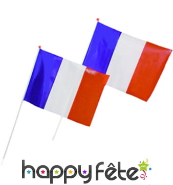 Sachet de 25 drapeaux français
