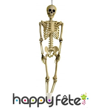 Squelette de 90 cm à suspendre