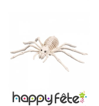 Squelette d'araignée de 35cm
