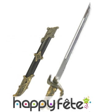 Sabre de pirate droit avec étui