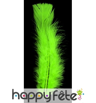 Sachet de plumes anis