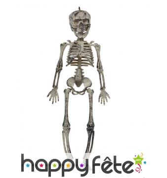 Suspension de petit squelette, 30 cm