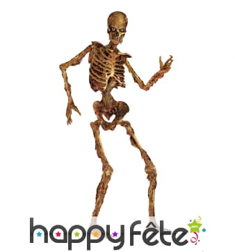 Squelette en putréfaction articulé en carton 180cm