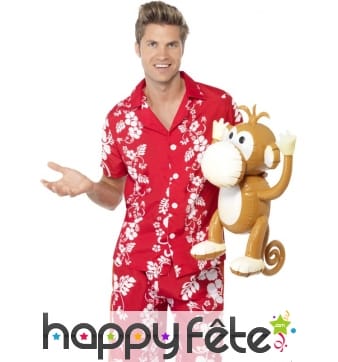 Singe gonflable brun