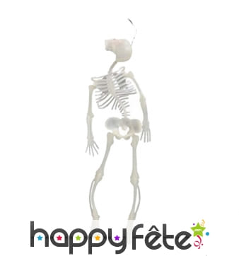 Squelette phosphorescent à suspendre, 33cm