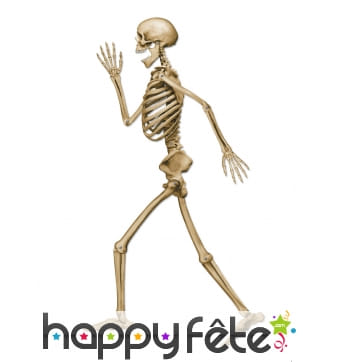 Squelette qui marche en carton de 94cm