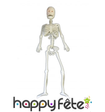 Squelette souple à suspendre