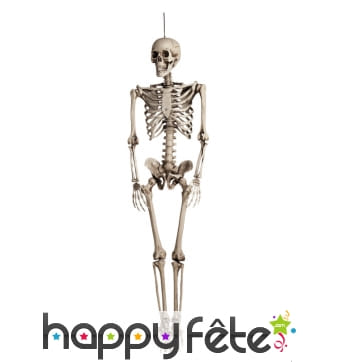 Suspension squelette de 160cm