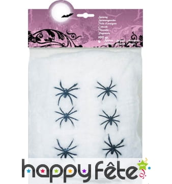 Toile avec 6 araignées