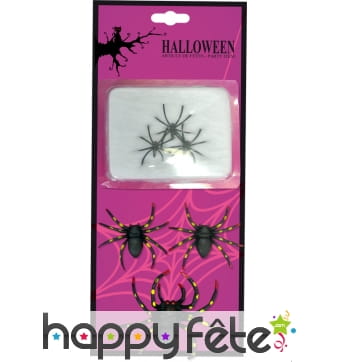 Toile avec 6 arraignées