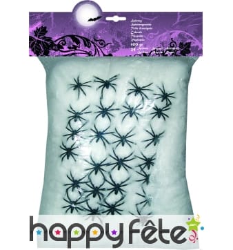 Toile d'araignee avec 25 araignees