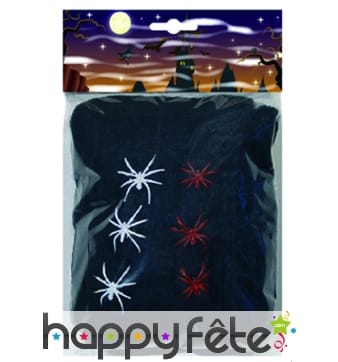 Toile d'araignee noire